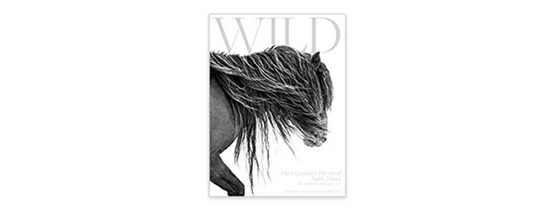 wild horses of sable