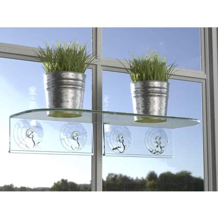 To potted plants on a clear window ledge shelf