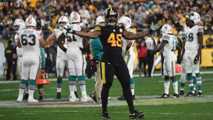 Titans Make Decision on Former Steelers LB Bud Dupree