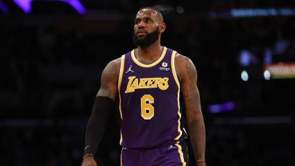 LeBron James Responds to Viral Photo of Doppelganger at Lakers Game