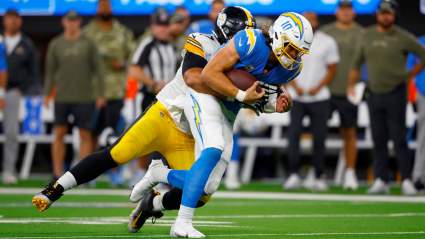 NFL Reacts to Ref’s Decision Not to Eject Steelers’ Cam Heyward