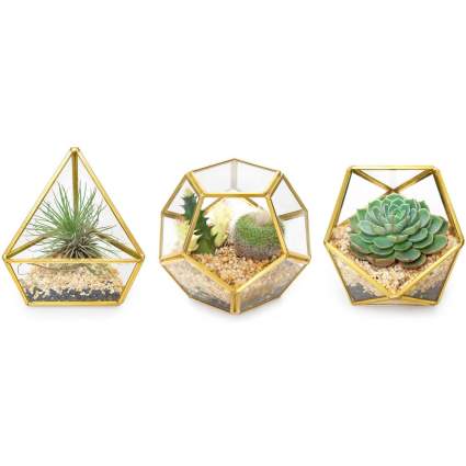 Gold geometric mini terrarium plant holders