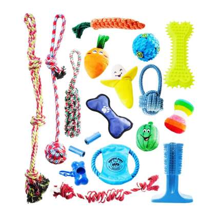 Pacific Pups Products 18 Piece Dog Toy Set