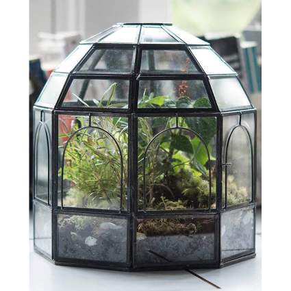 glass round terrarium with plants