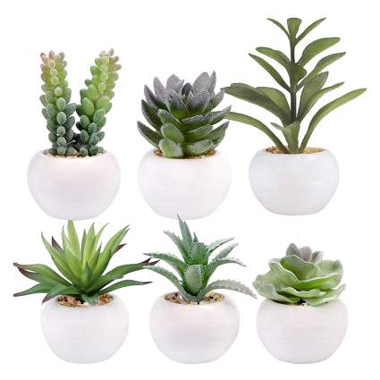 artificial succulent set