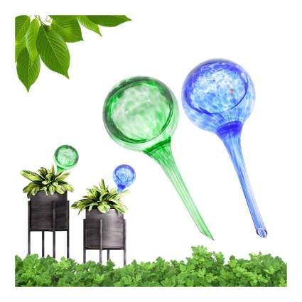glass plant watering globes