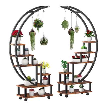 Two half circle plant stands with plants