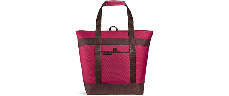 rachael ray jumbo chillout thermal tote