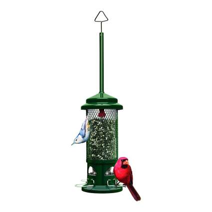 bird feeder with cardinal