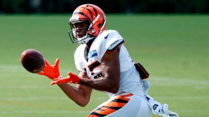 Steelers Add Ex-Bengals Wide Receiver, Release O-Lineman