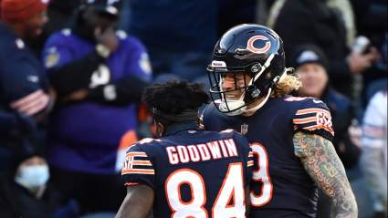 Bears LB Goes Down With Potential Season-Ending Injury