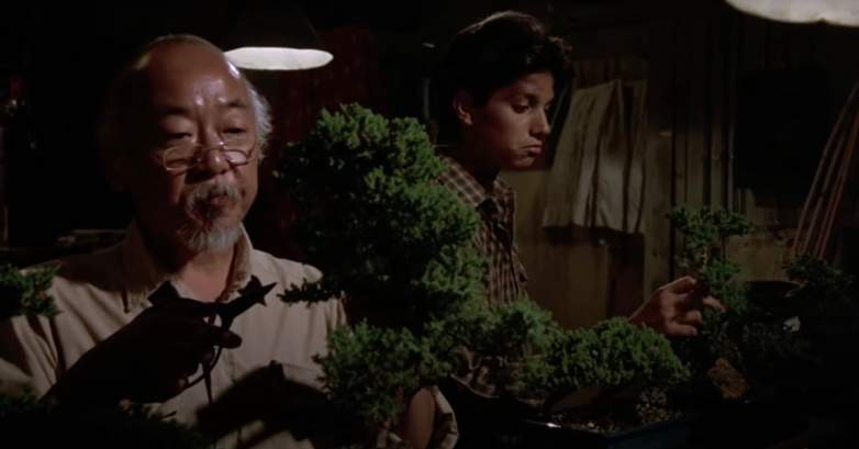 Mr. Miyagi trims bonsai