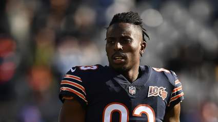 Raiders Sign WR Famous for on-Field Incident