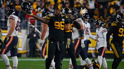 Raiders Sign Recently Released Starting Steelers DE