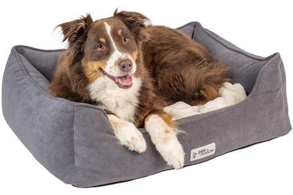petfusion dog bed