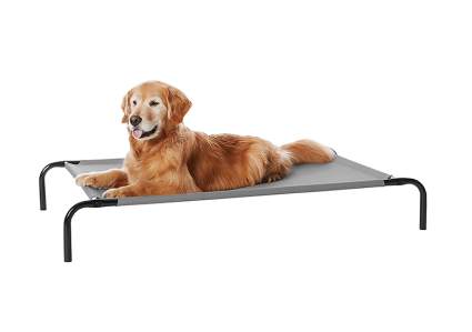 amazon basics elevated pet bed