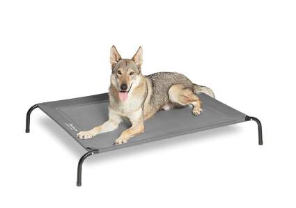 bedsure elevated dog bed