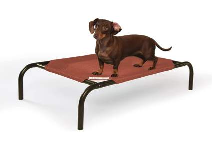 raised dog bed