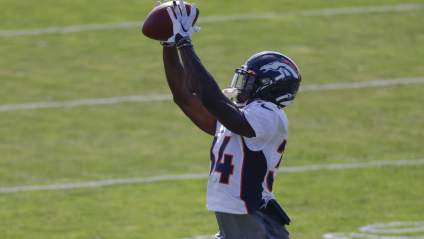 Broncos Add Cornerback, Ex-Steelers Punter to Offseason Roster