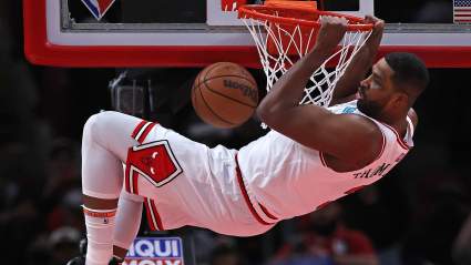 Bulls Buyout Big Man Shines with Double-Figure Night in Debut
