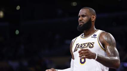 LeBron James Confronts Heckling Lakers Fans in NSFW Viral Clip