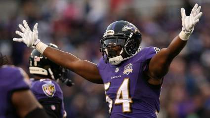 Patrick Queen Leads Reactions to Hiring of Ex-Ravens All-Pro LB as Coach