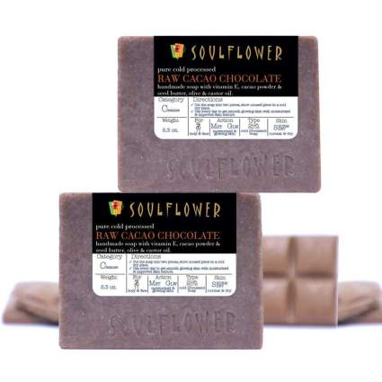 Two bars of chocolate soap