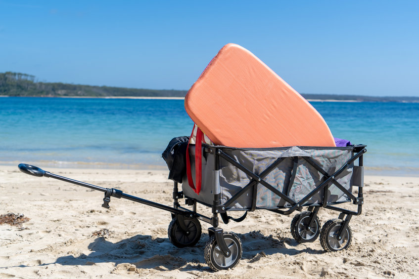 15 Best Folding Wagons For Your Money 2023   181304629 S 