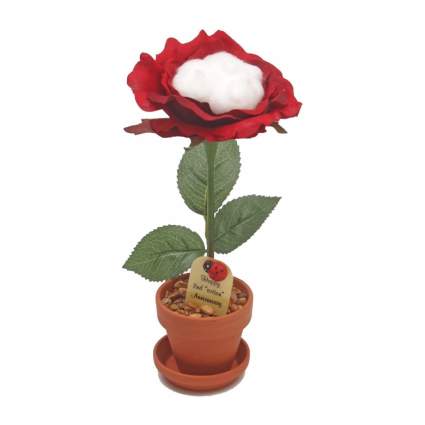 2nd Cotton Wedding Anniversary Rose Flower