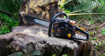 LOOK: UFC Fighter Shares ‘Nasty’ Photos Following Chainsaw Accident