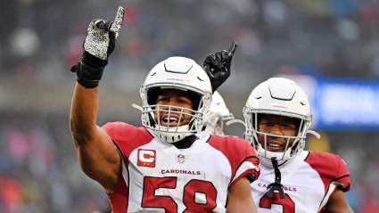 Vikings Sign Cardinals LB , ‘Heart’ of Arizona’s Defense: Report
