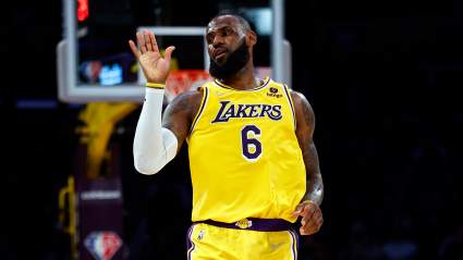 LeBron James Has Made Decision on Shutting It Down for Season: Report