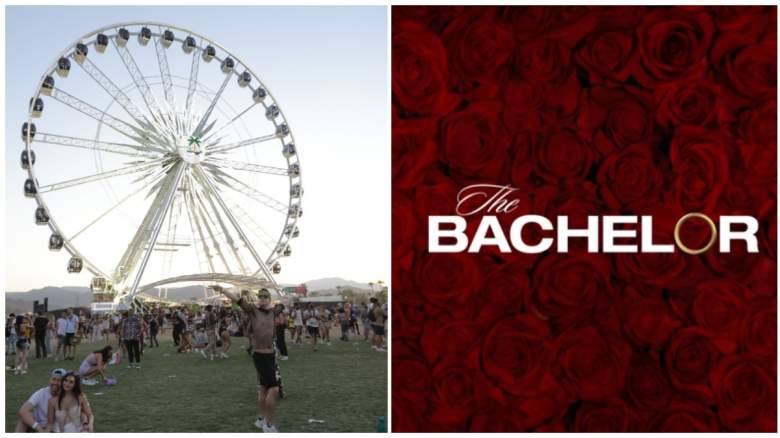 Coachella The Bachelor