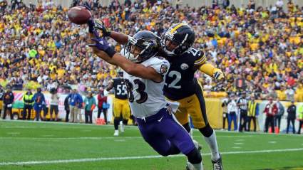 Former Steelers ‘Hostage’ Signing With Texans: Report