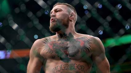 UFC’s Conor McGregor Called On to Fight Victim of Infamous Bus Attack
