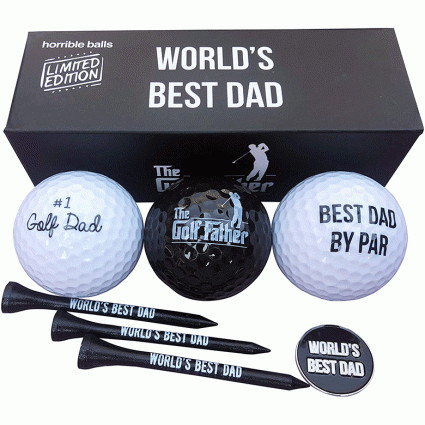 worlds best dad golf gift set
