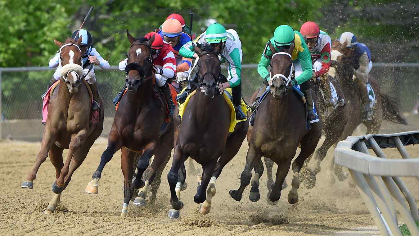 Black-Eyed Susan Stakes 2022 Live Stream: How to Watch