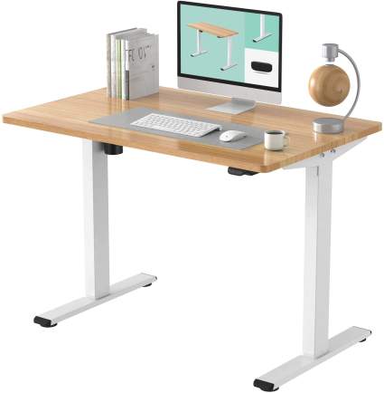 Flexispot EC1 Essential Electric Adjustable Height Standing Desk