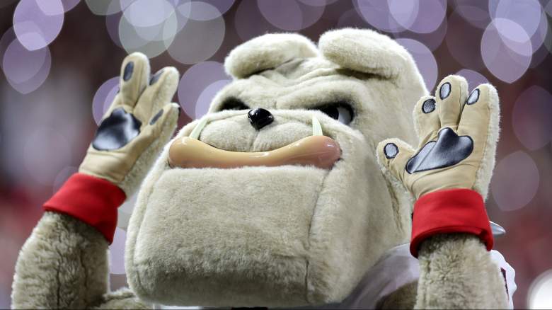 Georgia Bulldogs mascot