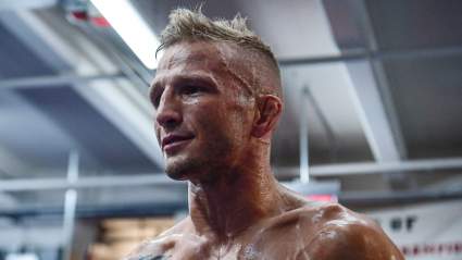 TJ Dillashaw Calls Ex-UFC Champion a ‘Salty C***’ for Recent Comments