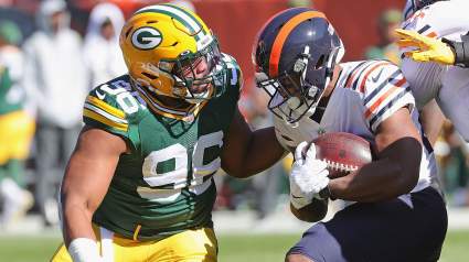 Texans Release Ex-Packers Defensive Lineman From Roster