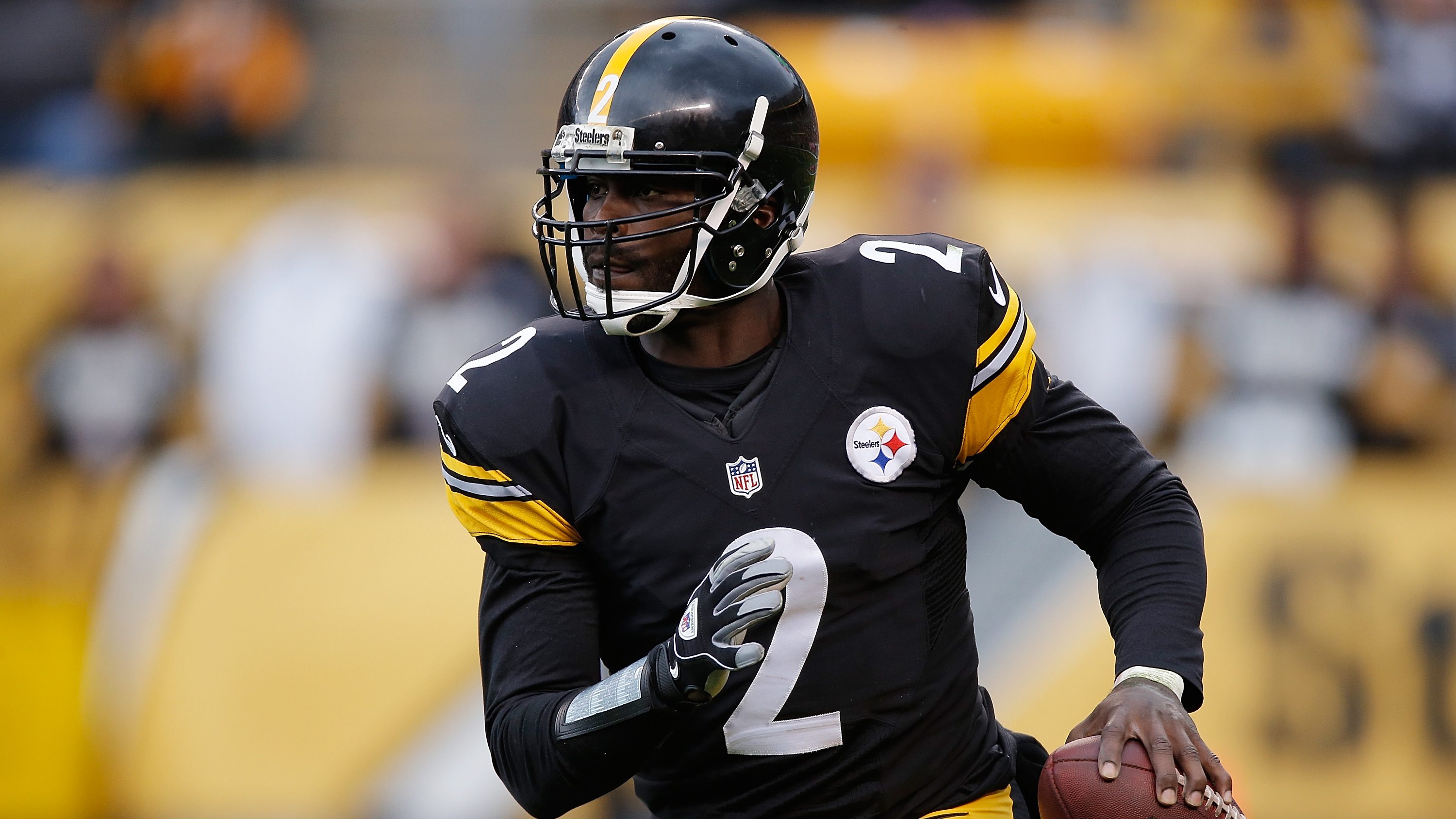 michael vick steelers