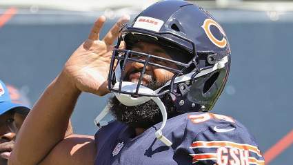 Longtime Bears DE Akiem Hicks Takes Brutal Shot at Former Team