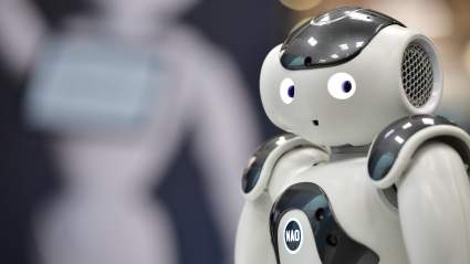 Former UFC Champion Gets Into Spat With Robot: ‘F*** Off!’