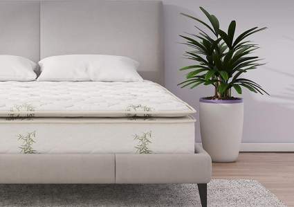 bamboo pillowtop mattress