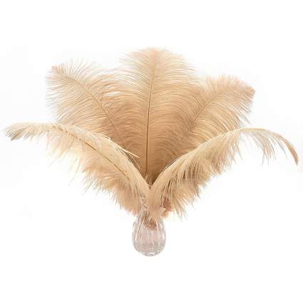 tan ostrich feathers in a vase