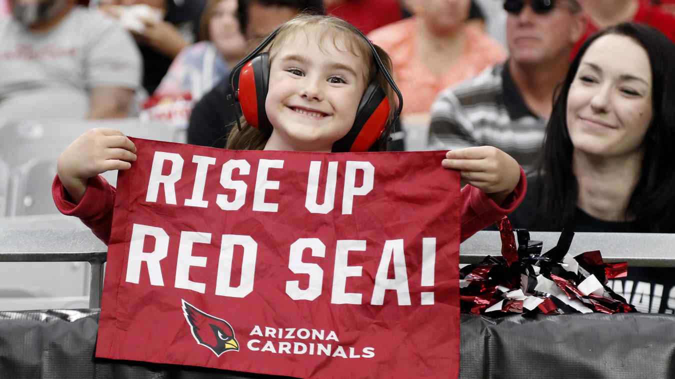 Cardinals announce training camp dates for fans The Hiu
