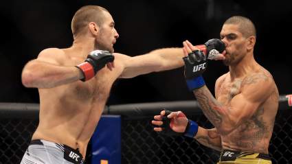 UFC Star Thinks Alex Pereira Would ‘Get Mauled’ Against Several Fighters