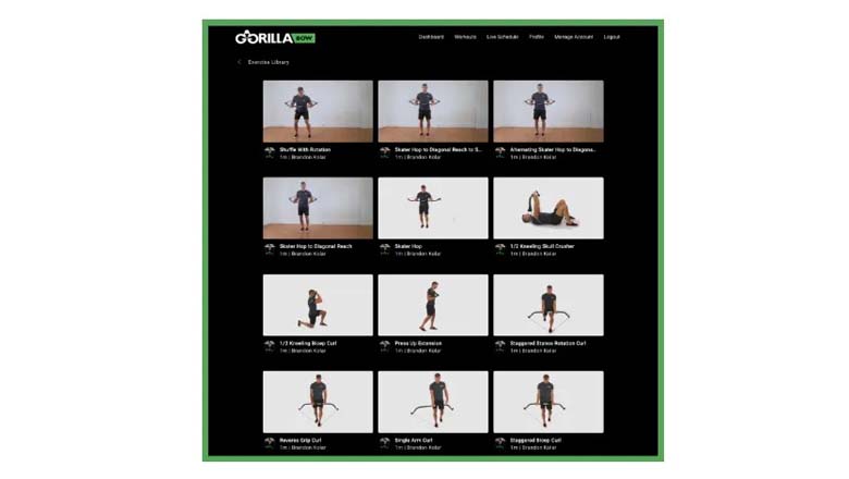 Gorilla bow full online body workout