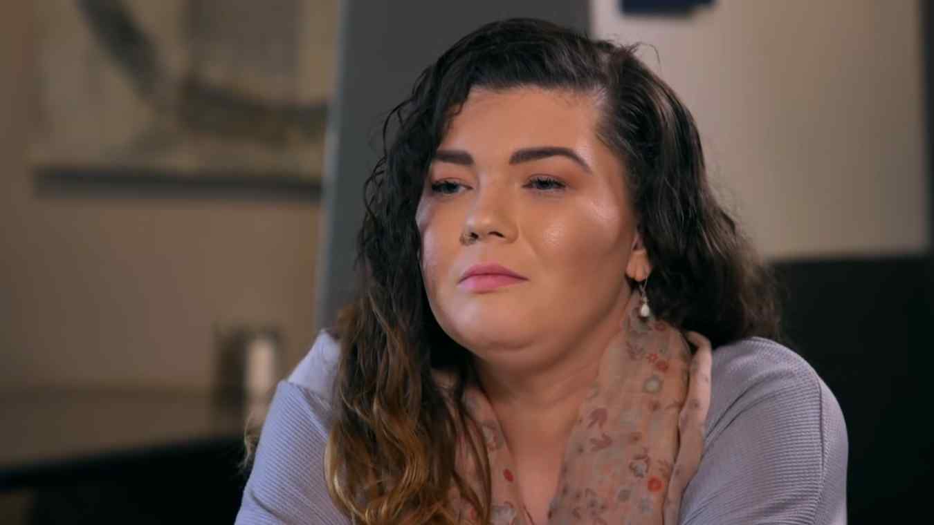 'Teen Mom' Stars Show Support for Amber Portwood After Custody Ruling